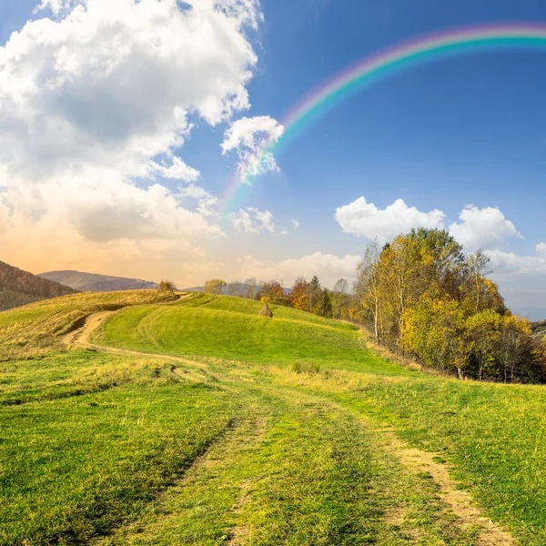 Weg auf Hangwiese in Berg — Stockfoto