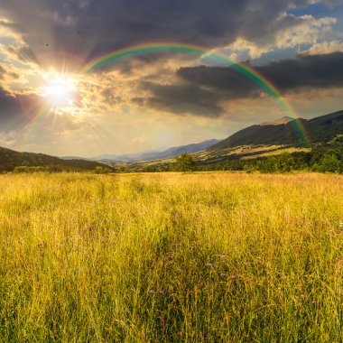 yüksek otların arasında dağlar gün batımında ile çayır