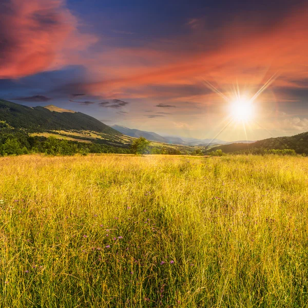 Weiland met hoog gras in de bergen bij zonsondergang — Stockfoto