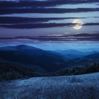 Geceleri yüksek dağlarında çayır