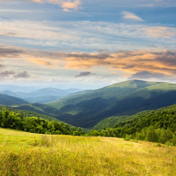 Meadow in high mountains at sunrise — Stock Photo, Image