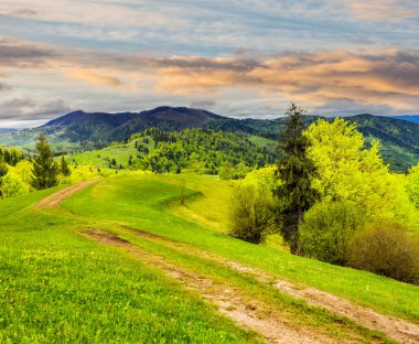 Dağ sunrise adlı çayırda hillside yolda