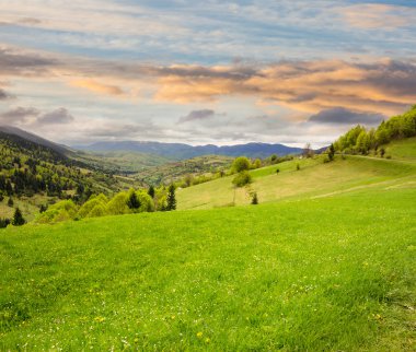gündoğumu, hillside çayır Köyü