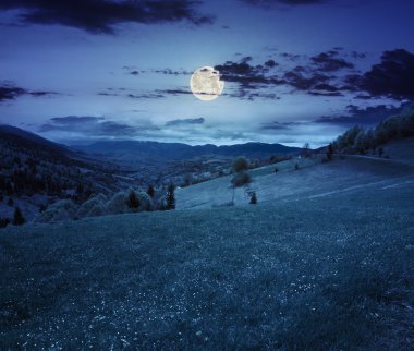 gece hillside çayır Köyü