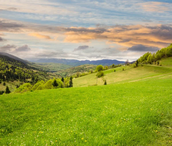 Gündoğumu, hillside çayır Köyü — Stok fotoğraf