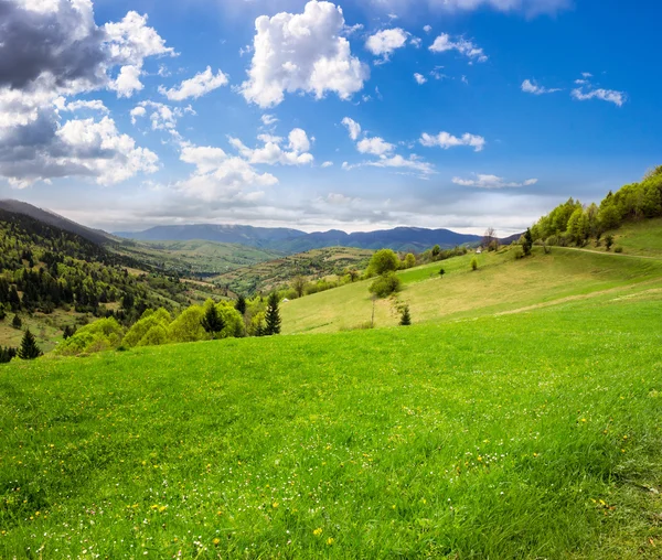 Village on hillside meadow — Stock Photo, Image