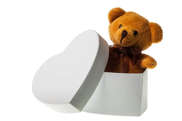 Bear in heart box — Stock Photo, Image