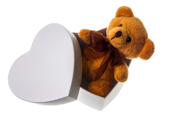 Bear in heart box — Stock Photo, Image