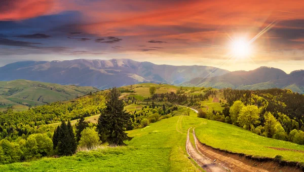Road through the meadow on hillside at sunset — Stock Photo, Image