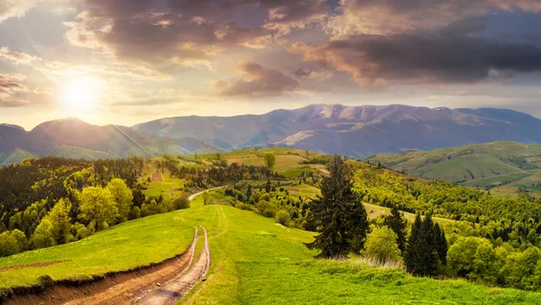 Road through the meadow on hillside at sunset — Stock Photo, Image