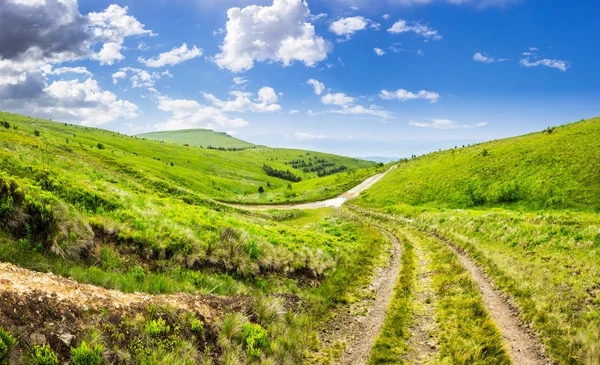 Path through highland meadows — Stock Photo, Image