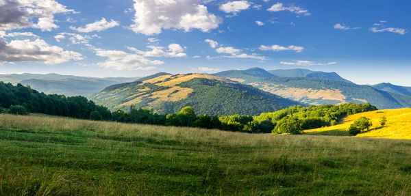 Prado en altas montañas al amanecer — Foto de Stock