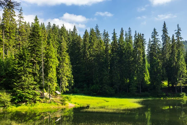 Pavilhão no lago na floresta — Fotografia de Stock