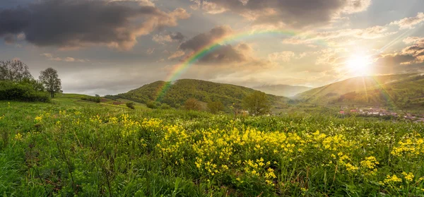 Vale com flores amarelas nas montanhas ao pôr do sol — Fotografia de Stock