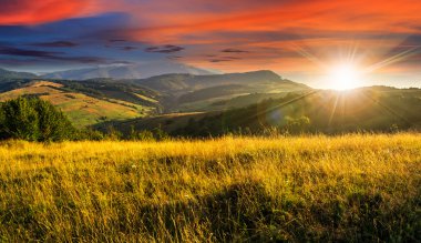 meadow with tall grass in mountains at sunset clipart