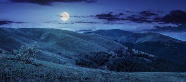 dağ panorama adlı gece yaz yeşil çayır