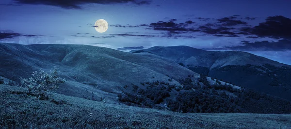 夜山のパノラマの夏緑の草原 — ストック写真
