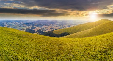 gün batımında dağ üstüne yabani ot
