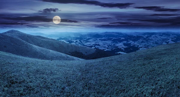 Erba selvatica sulla cima della montagna di notte — Foto Stock