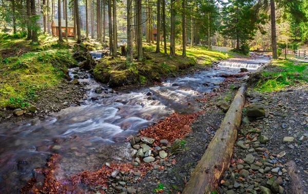 Rive de la rivière dans le parc national avec fin de l'automne — Photo