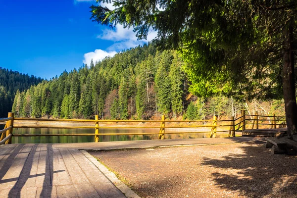 Cais na montanha Lago perto da floresta — Fotografia de Stock