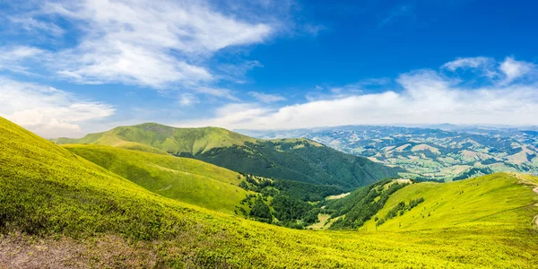 Letní zelená louka v horské panorama — Stock fotografie