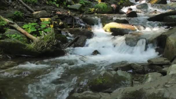 Inanılmaz derecede güzel ve temiz küçük brook — Stok video