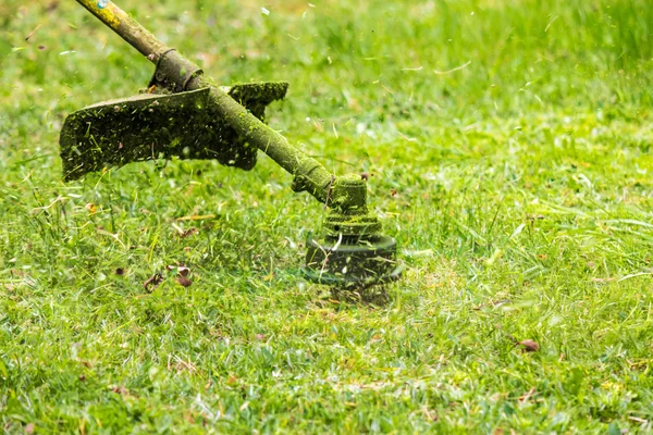Recortar la cabeza cortando la hierba a pedazos pequeños — Foto de Stock