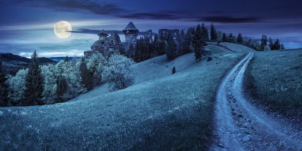 Kerti ösvény-hoz vár romjai a domboldalon erdő éjjel — Stock Fotó