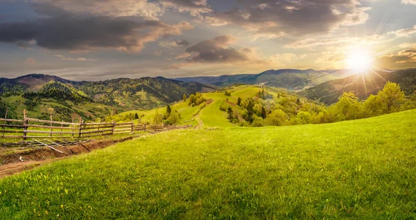 Hek op heuvel weide in berg bij zonsondergang — Stockfoto