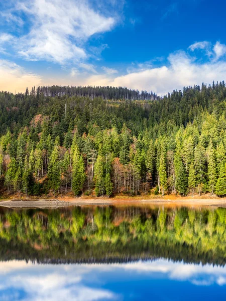 Lake near the mountain in pine forest at sunrise — Stock Photo, Image