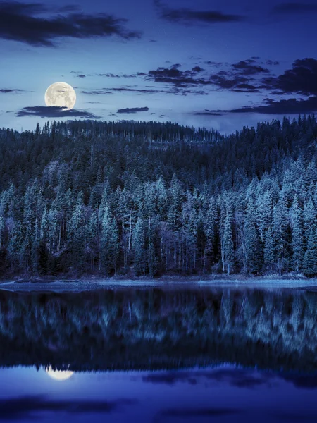 Lac près de la montagne dans la forêt de pins la nuit — Photo