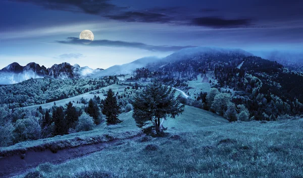 霧の中、夜の山の丘の上に城 — ストック写真