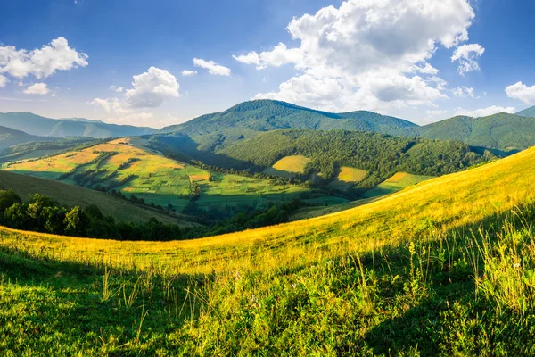 Dağlarda tarım alanları — Stok fotoğraf