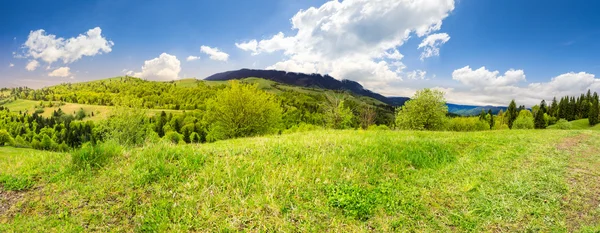 Louka u lesa v horách — Stock fotografie