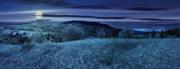 Prado cerca del bosque en las montañas por la noche — Foto de Stock