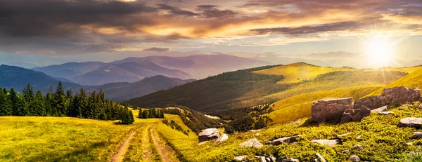 Camino a través de la pradera en la ladera al atardecer — Foto de Stock