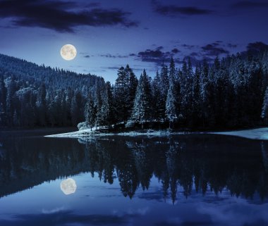 Göl kenarında çam ormanının gece dağda