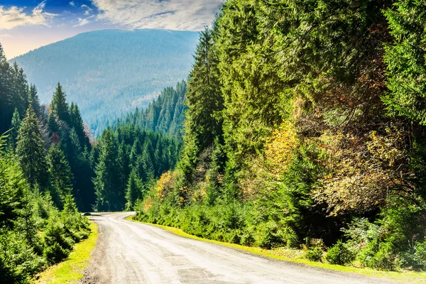Road through the forest in mountains — Stock Photo, Image