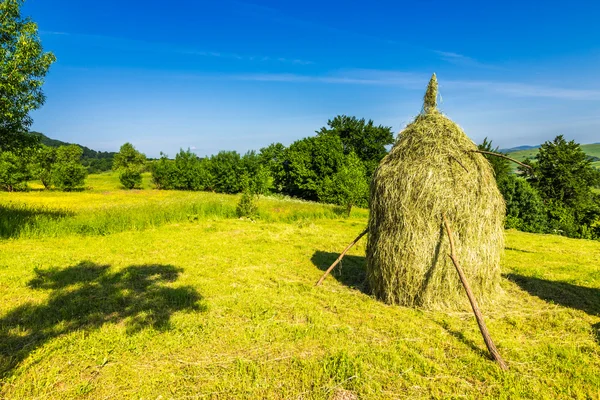 Поля з копиці сіна — стокове фото