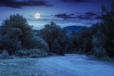 dağlar gece ormanda yolda