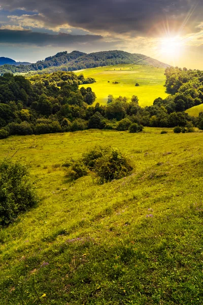 Campo agrícola no prado de encosta ao pôr do sol — Fotografia de Stock