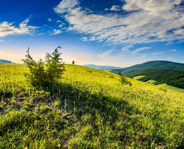 Agricultural field in mountains at sunrise — Stock Photo, Image