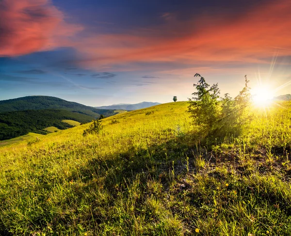 Landwirtschaftliche Feld in den Bergen bei Sonnenuntergang — Stockfoto