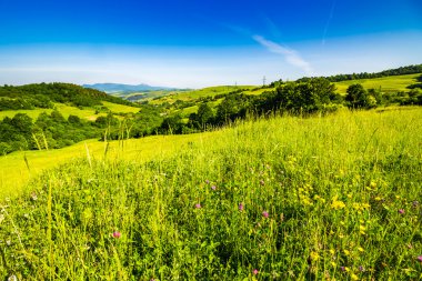 hillside çayır Köyü