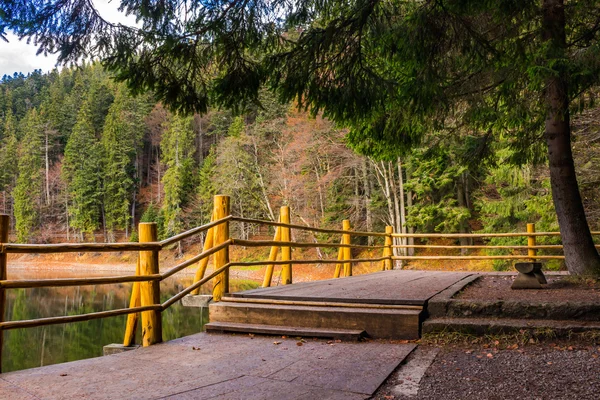 Jetée sur la montagne Lac près de la forêt — Photo