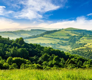 agricultural fields in mountains at sunrise