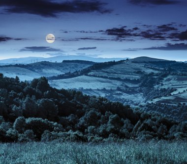 agricultural fields in mountains at night