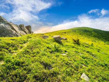 path through hillside with white boulders at sunrise