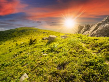 path through hillside with white boulders at sunset